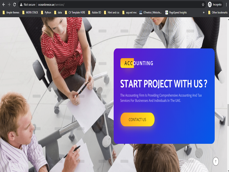 Portfolio-title